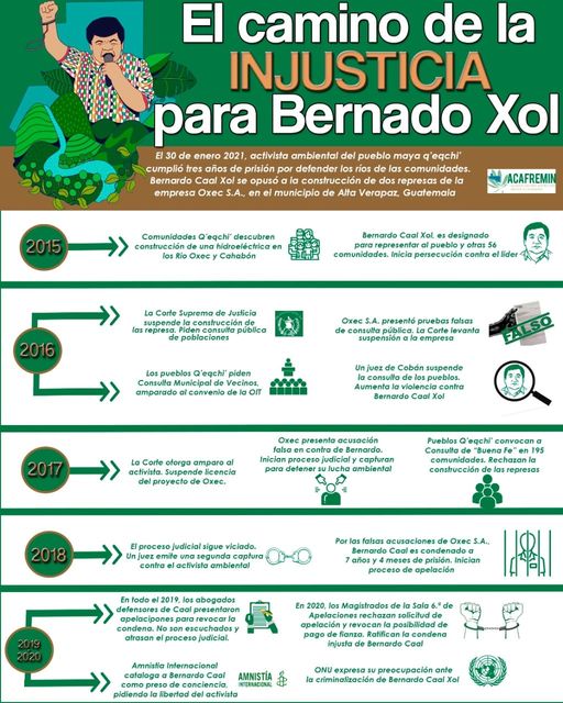 bernardo infografico